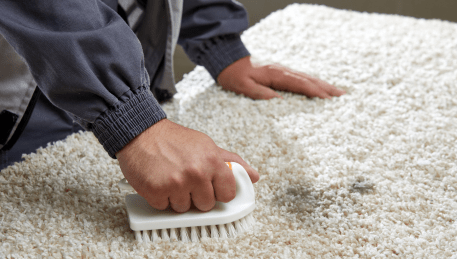 Professional Rug Cleaning Ardeer