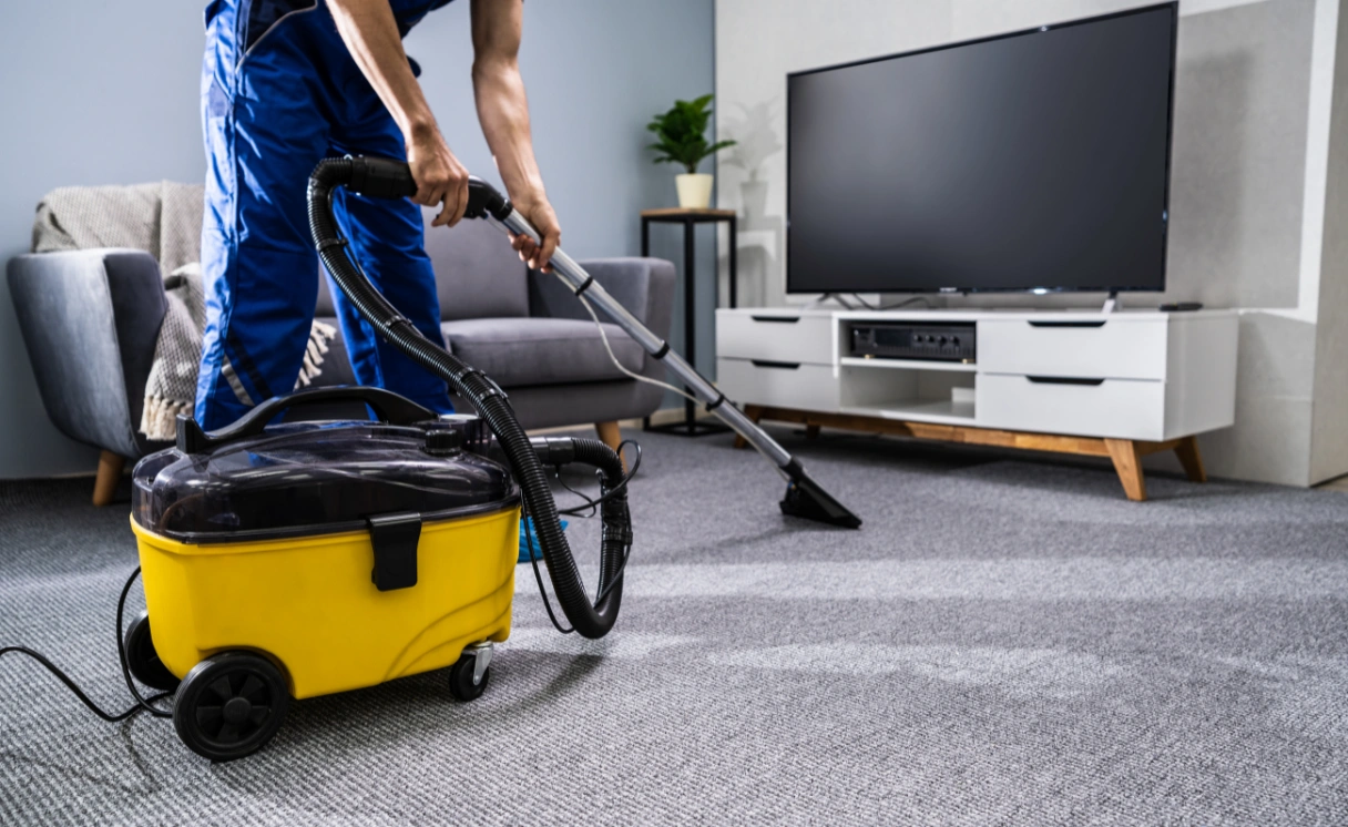 Extract Rug Cleaning Ardeer Contact Office